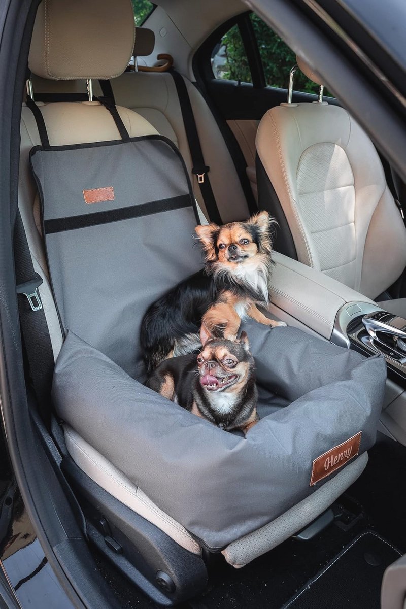 Gepersonaliseerde autostoel voor honden met riem en hondenbed voor onderweg
