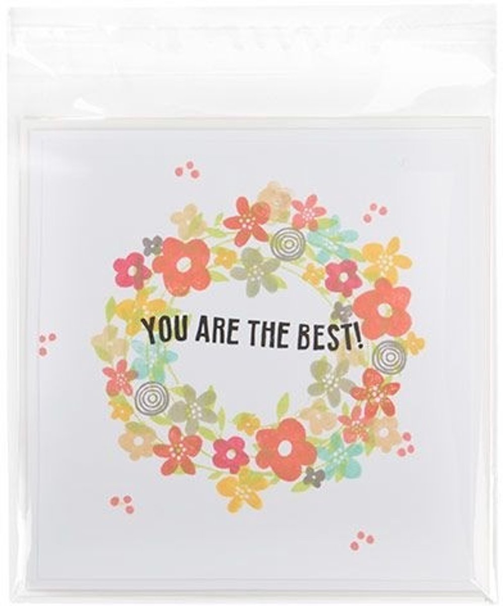 Plastic Zakken 15x15cm Transparant en Hersluitbaar (100 stuks) | Plastic zak