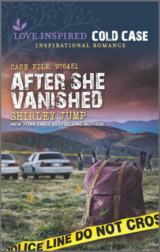 After She Vanished - cover