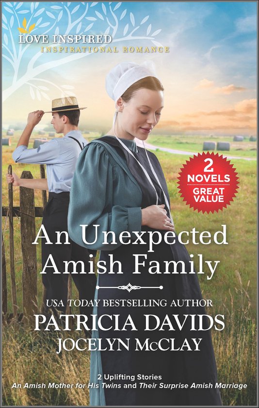 An Unexpected Amish Family - cover