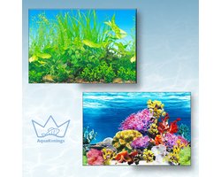 AquaKonings Aquarium Poster – Waterdicht - Decoratie Vis Poster - Aquarium Decoratie - Aquarium Wand - 100x30 cm - O