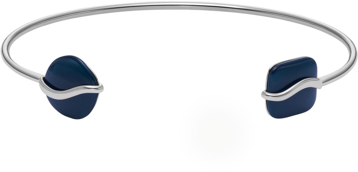 Skagen SKJ1811040 Dames Armband - Zilverkleurig