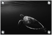 Tuinposter –Schildpad in de Zee– 60x40 Foto op Tuinposter (wanddecoratie voor buiten en binnen)
