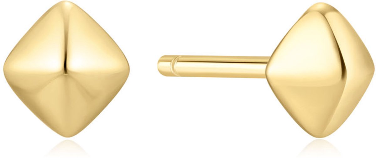 Ania Haie AH E067-02G Trailblazer Dames Oorbellen - Oorknopjes