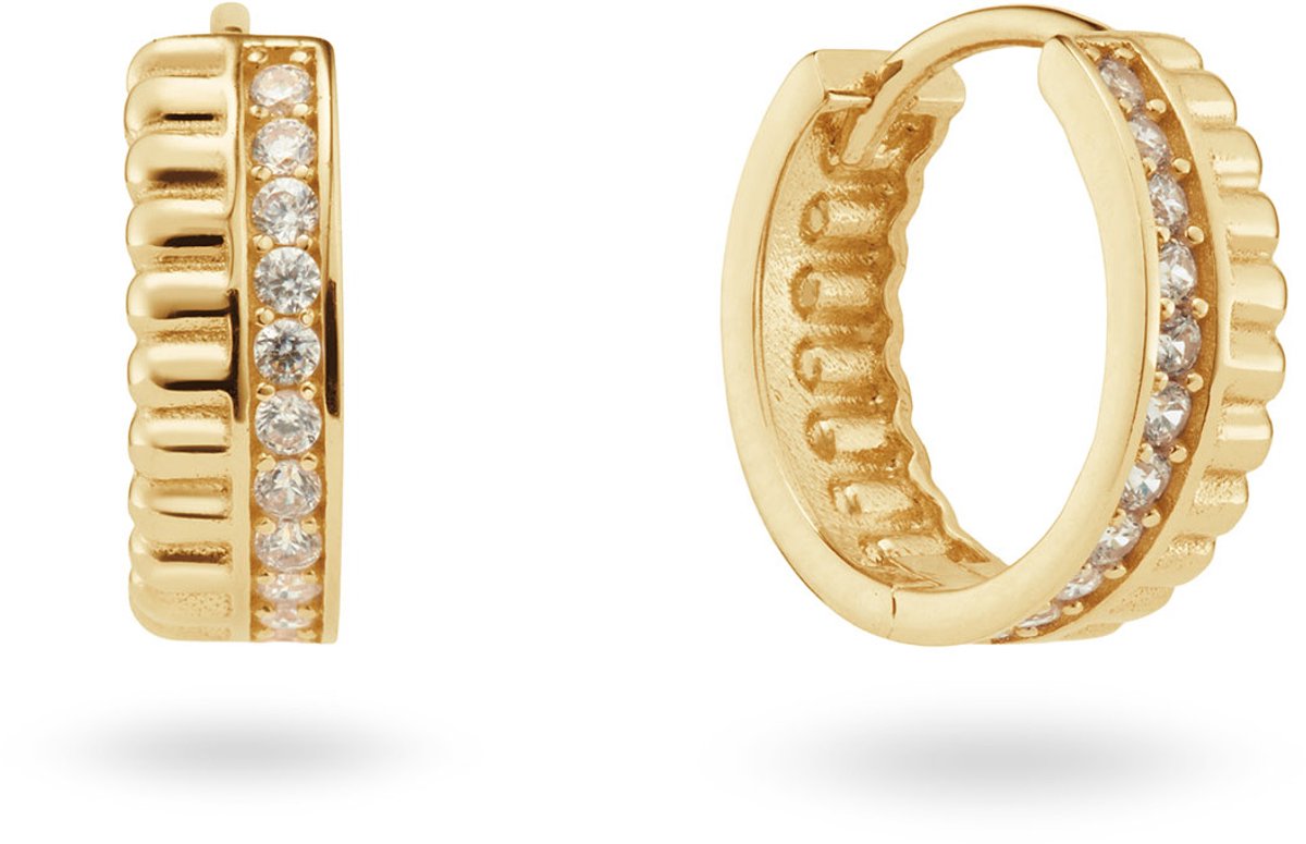 Oorringen Dubbele Rij CZ M 585