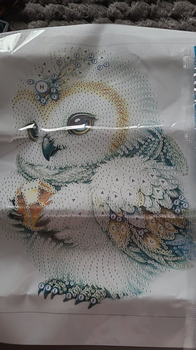 Diamond painting- Uil - canvasdoek 30x30cm