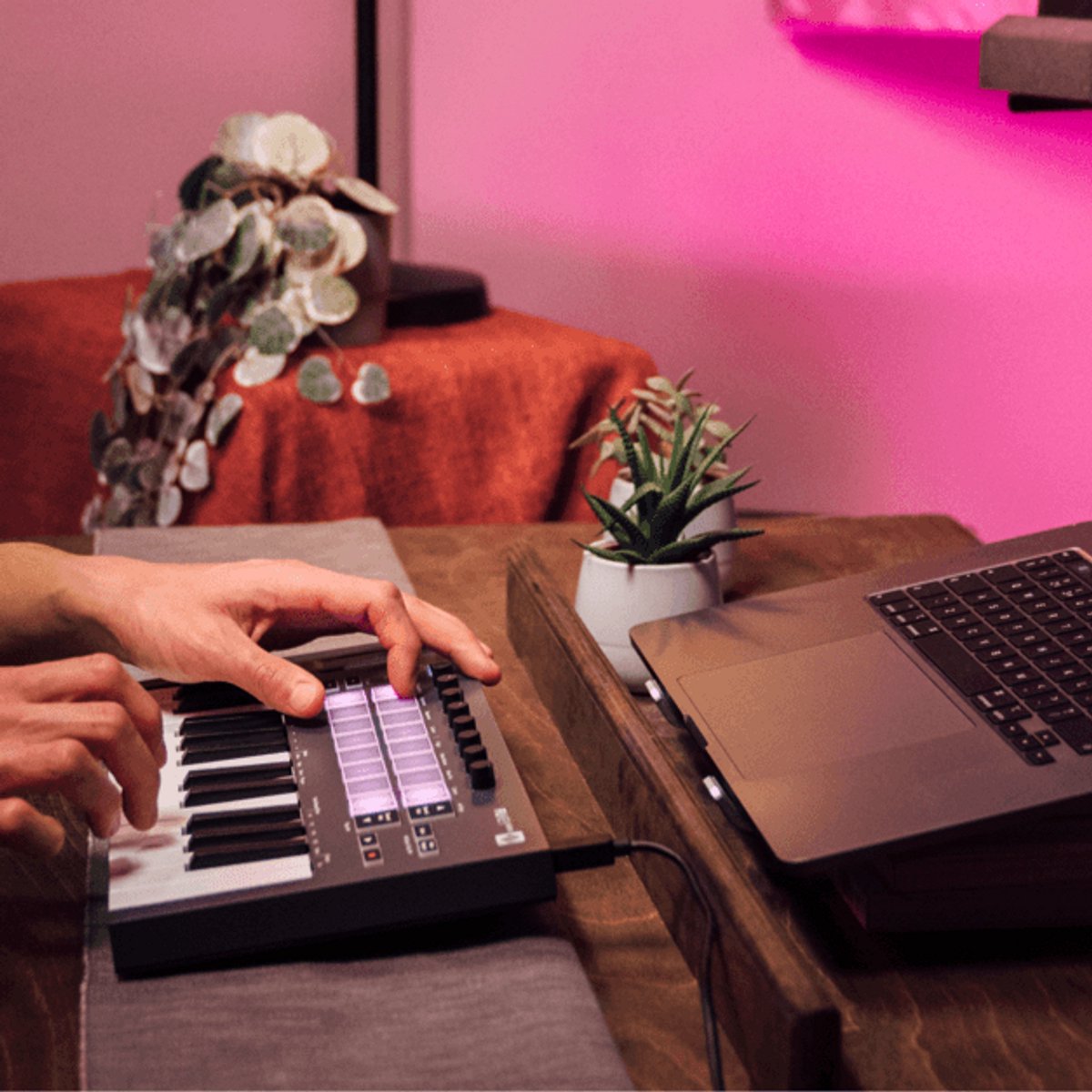 Keyboard/NOVATION/KEYBOARDS/2-octave mini midi keyboard thumbnail 2