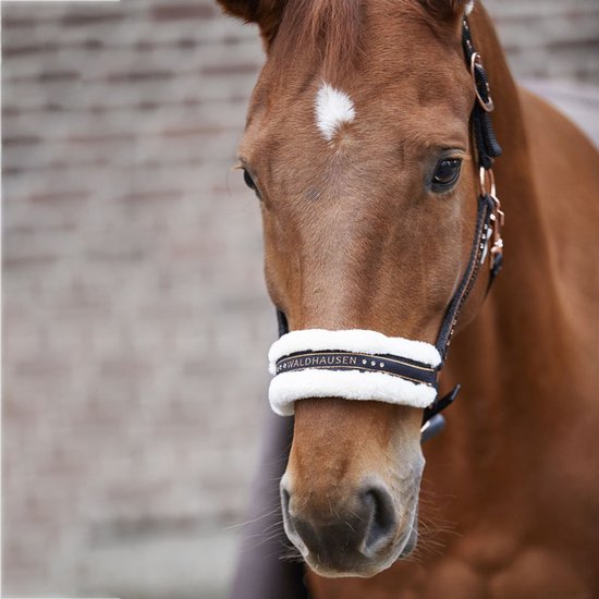Waldhausen Halster Phoenix - LdP Design Alles voor uw Paard Waldhausen Halster Phoenix - LdP Design Alles voor uw Paard