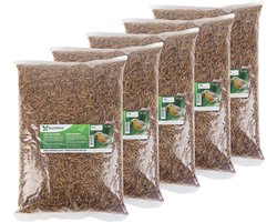 Famiflora meelwormen 5x1KG - Hoogwaardige eiwitten stimuleren gezondheid en vitaliteit van vogels, kippen en vissen - Essentiële vetten leveren energie zodat dieren actief blijven