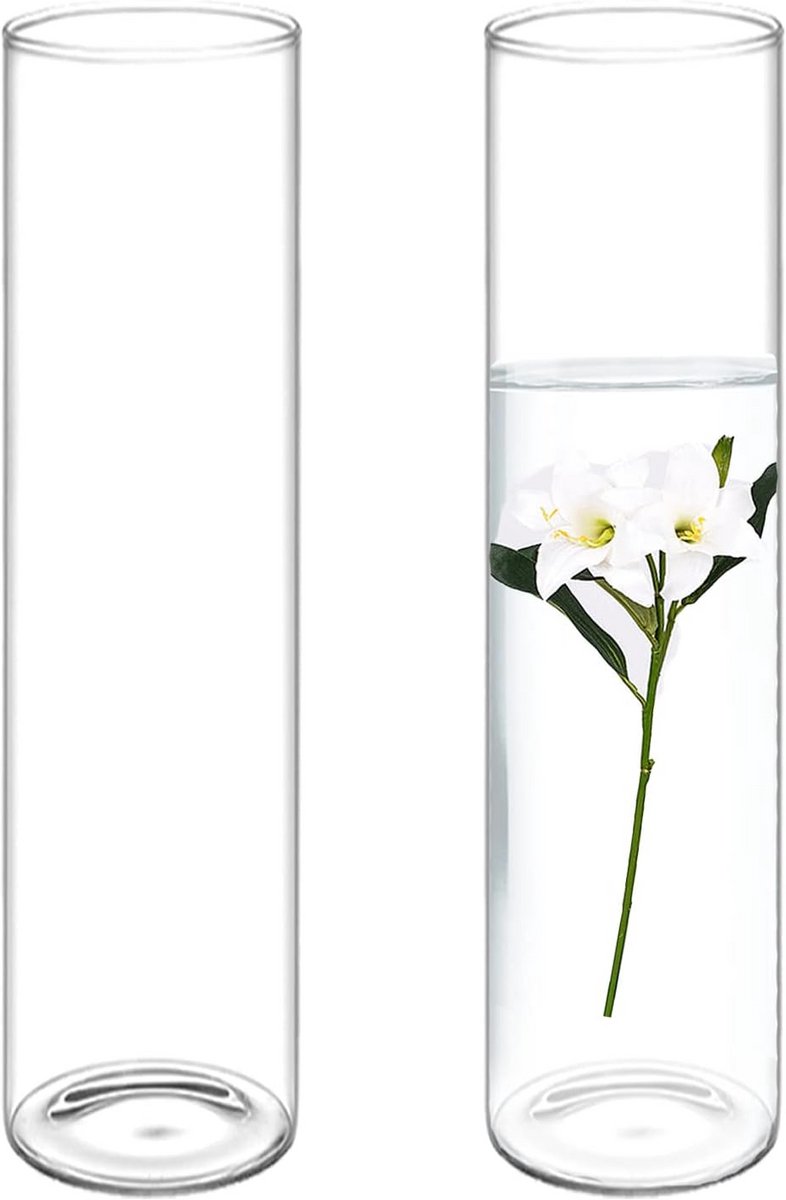 Set van 2 glazen cilindervazen - hoogte 40 cm - transparant - geschikt als drijfvlotje
