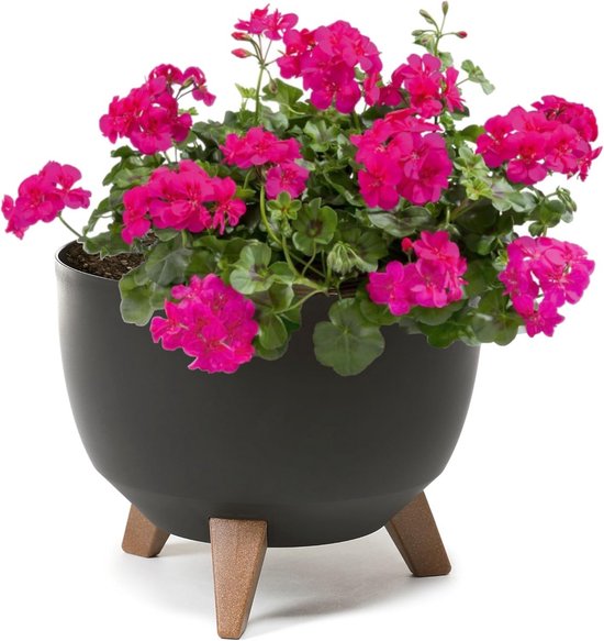 Bloempot