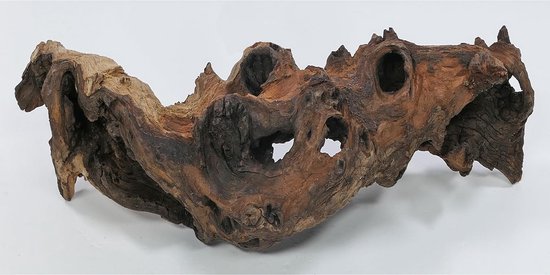 Racine Mopani taille M pour aquarium et terrarium - vrai bois pour aquascaping