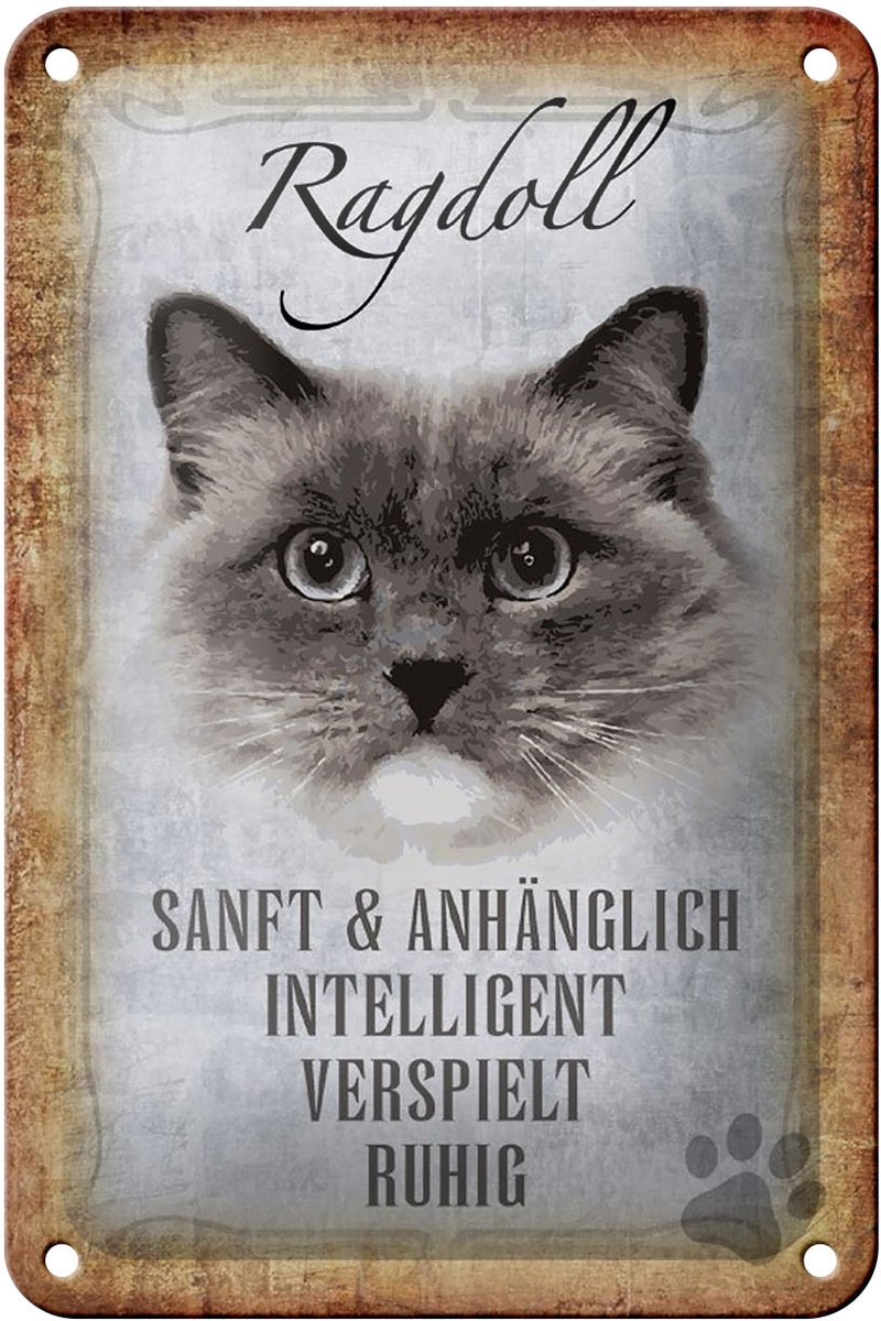 Blechschild Spruch 12x18cm Ragdoll Katze sanft Schild