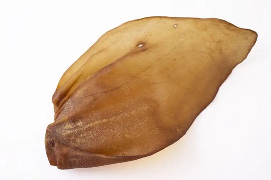 Een grote, lichtbruine hondensnack van runderoren, op een witte achtergrond.