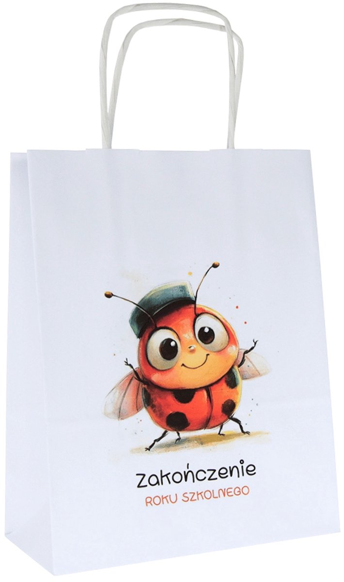 Papieren Cadeautas Biedronka - School Einde - 18x8x22cm