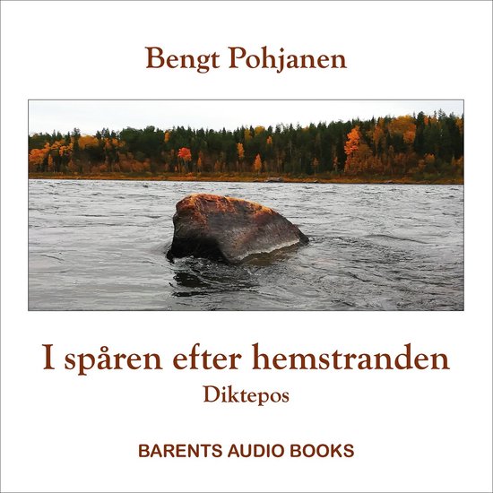 I spåren efter hemstranden - cover