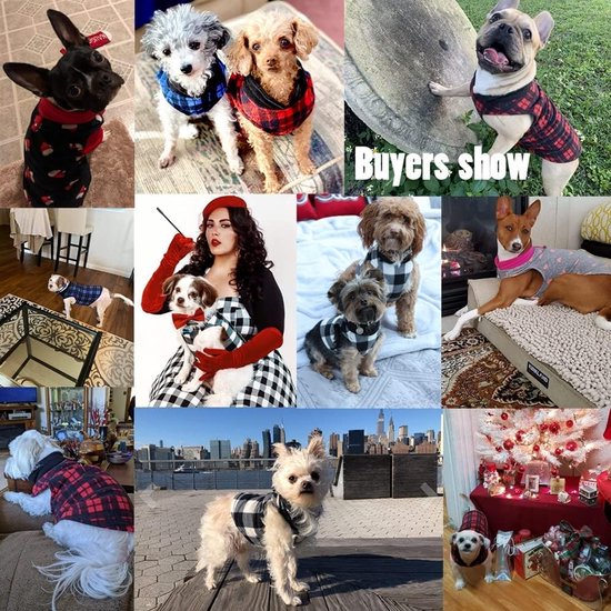 Collage van honden die geblokte kleding dragen, inclusief chihuahua's en andere kleine honden