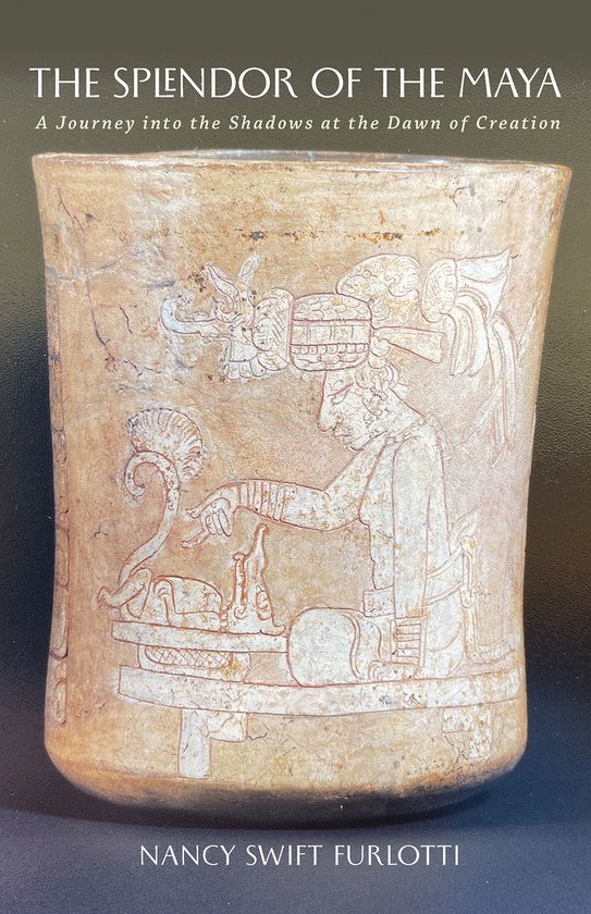 Carolyn and Ernest Fay Series in Analytical Psychology-The S ... - cover