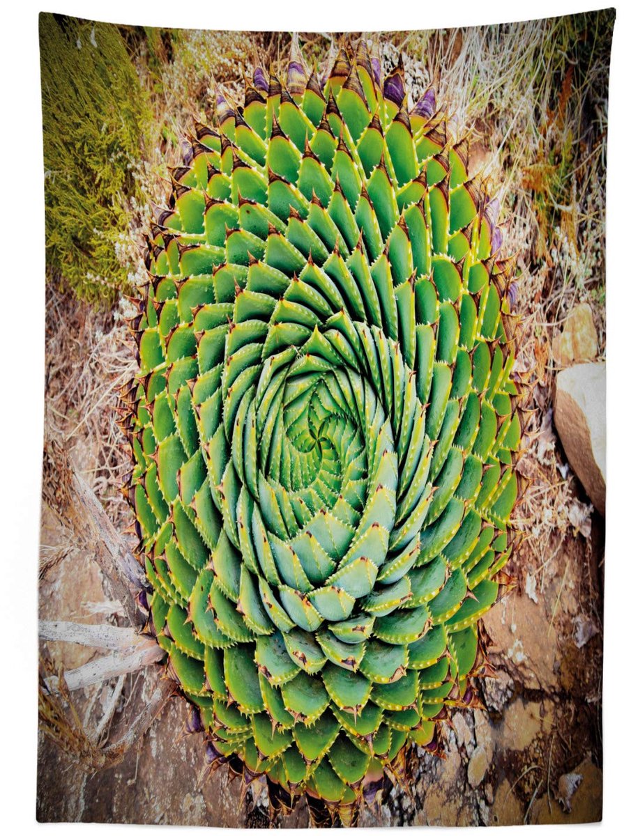 ABAKUHAUS Tafelkleed – Aloë polyphylla vera – 140x240 cm – multicolor