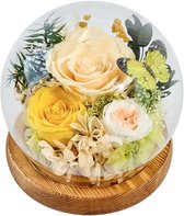 LA ROSE D'OR | Roos in glazenstolp - Roses of Eternity