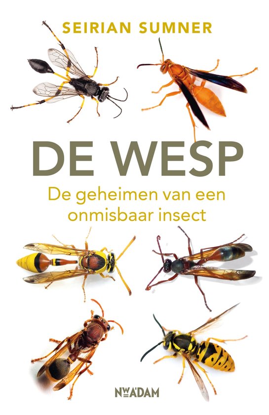 De wesp - cover