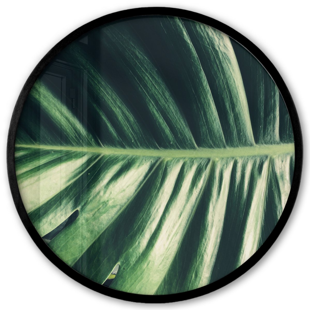 FrameYourWall Poster in lijst Rond - Fotolijst 40x40 cm - Posters - Bladeren - Tropisch - Jungle - Groen - Ronde posterlijst zwart - Decoratie - Wanddecoratie woonkamer - Muurdecoratie slaapkamer Multicolor