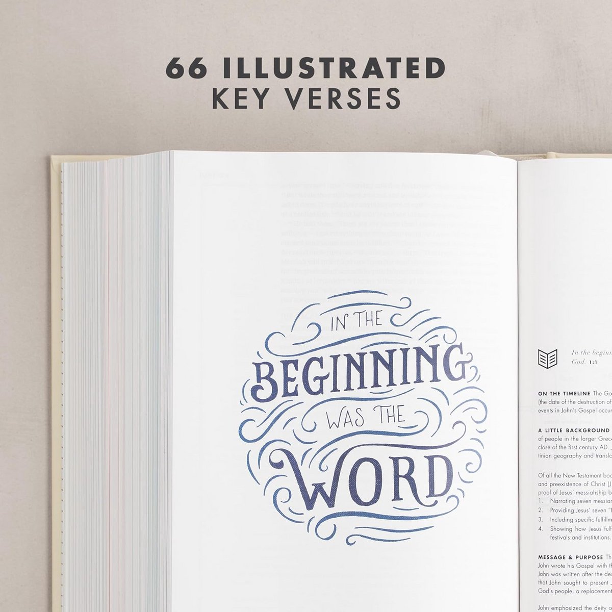 CSB She Reads Truth Bible, Hardcover: - afbeelding 3