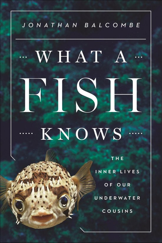 What a Fish Knows - cover