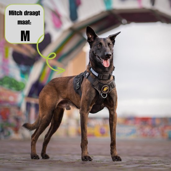 Een Mechelse herder draagt een zwart tuigje, maat M, met een graffiti-muur op de achtergrond.