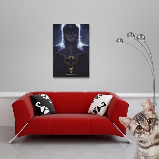 Film Poster The Flash en Batman - Groot Formaat 61 x 91,5 cm