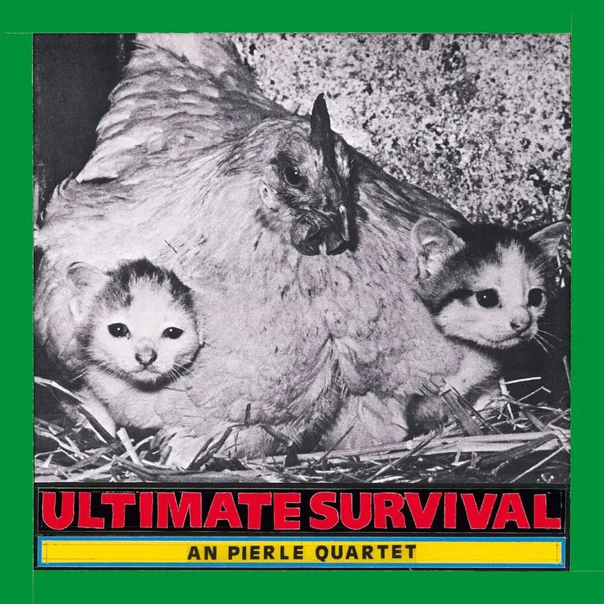 An Pierlé Quartet - Ultimate Survival (LP | CD)