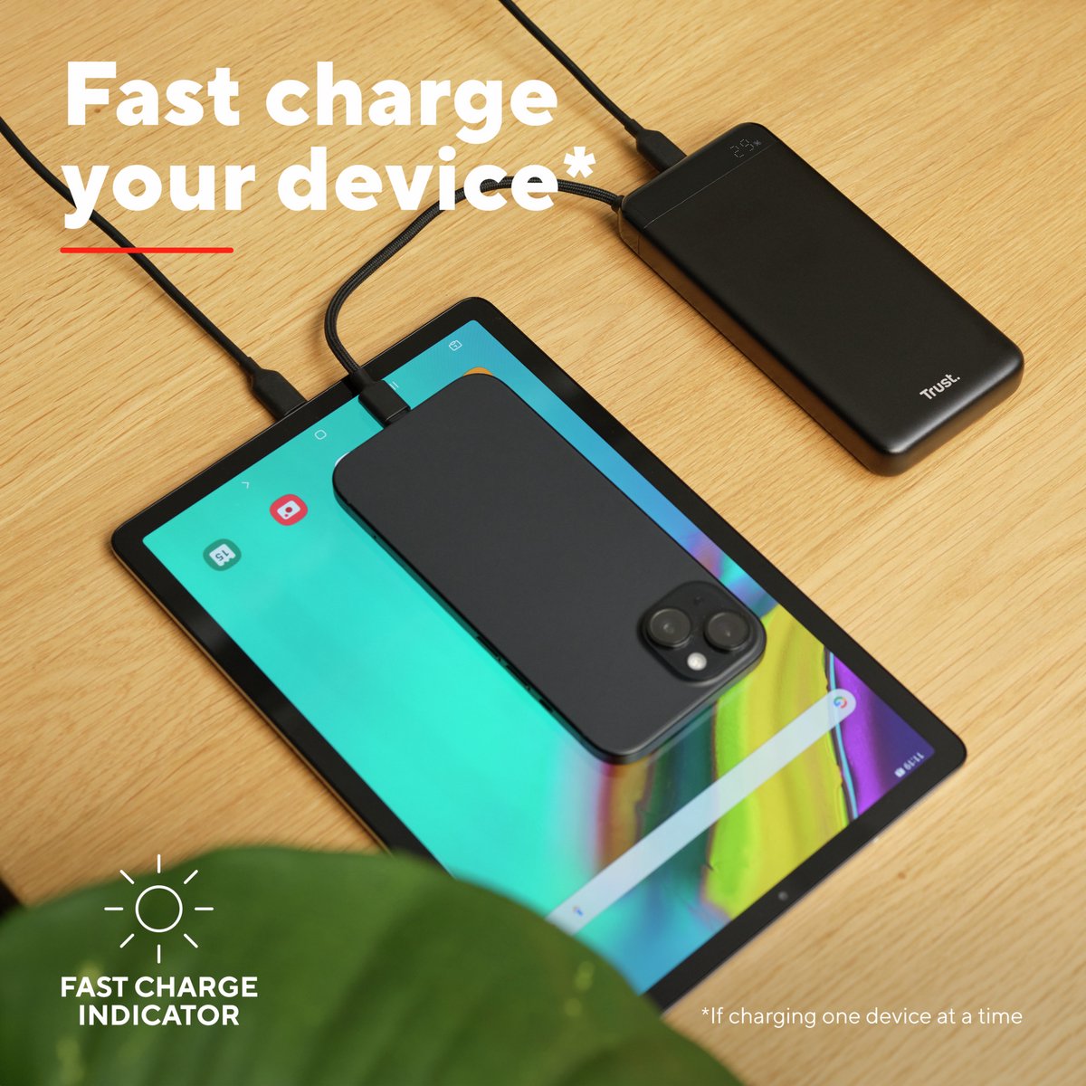 Trust Fiera Powerbank 20000 mAh Snellader met Ingebouwde - afbeelding 3