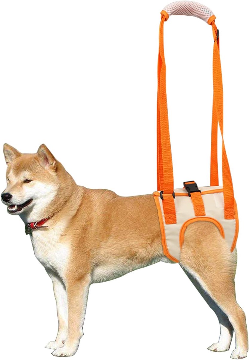 Oneay 1 stuk - Achterpootsteuntuigje voor honden, geschikt voor kleine, middelgrote en grote honden, verbetert de mobiliteit van de achterpoten van de hond (XL, tailleomtrek 48-60 cm, pootomtrek 31 cm).