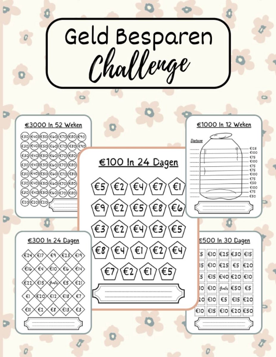 Geld Besparen Challenge Boek: Spaarchallenges voor €100 tot €10.000 Sparen