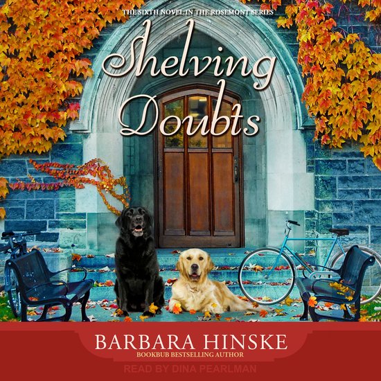 Shelving Doubts - cover