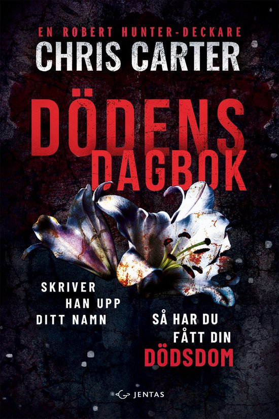 Robert Hunter 11 - Dödens dagbok