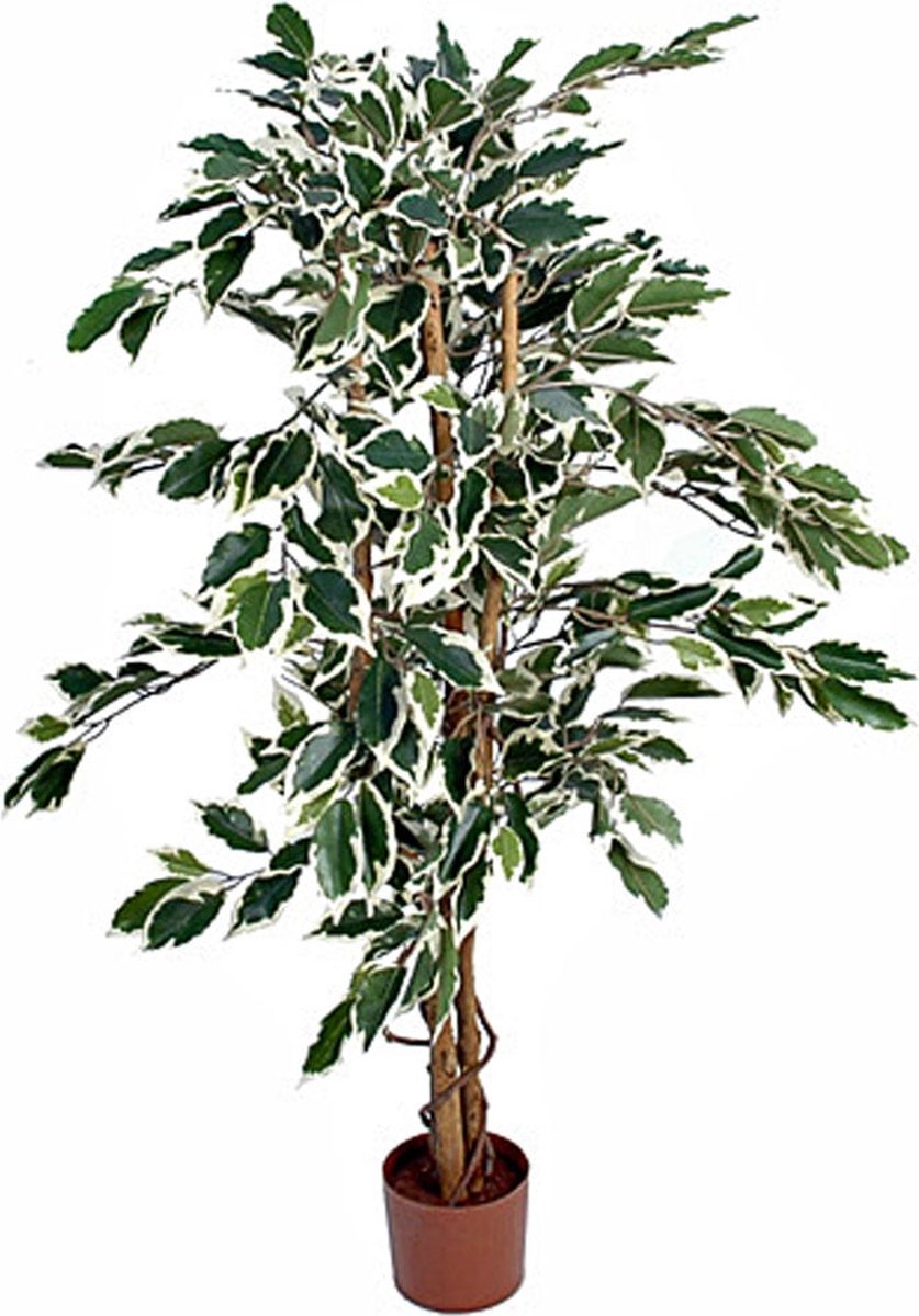 Mica Decorations Ficus Kunstplant - H110 x Ø70 cm - Groen Bont