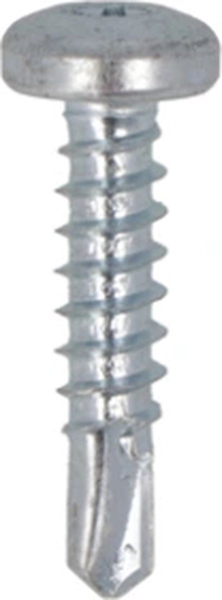 Proftec zelfb. Plaatschroef 4.8x19mm Verz. TX25 CK (200)