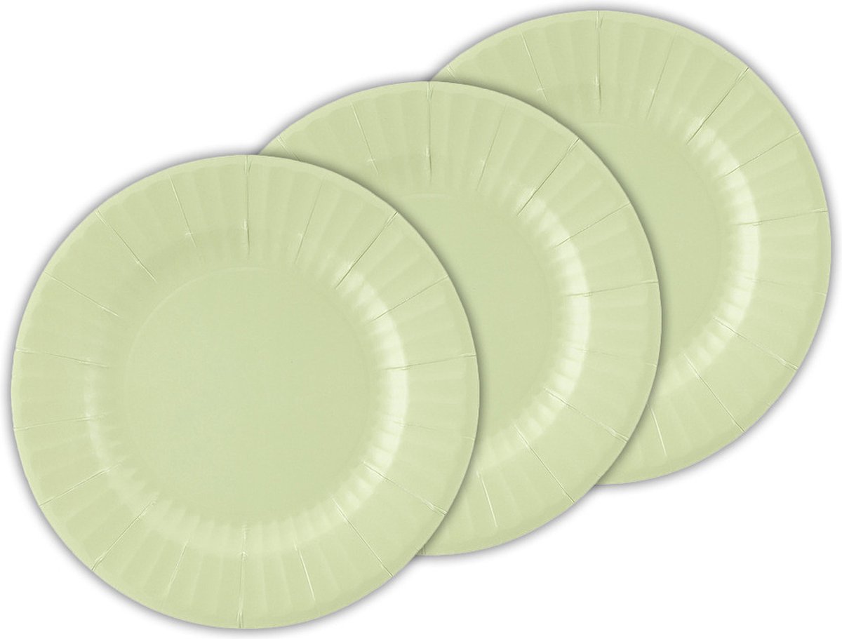 Givi Italia Feestbordjes/BBQ bordjes - 24x - mintgroen - rond - papier/karton - 27cm - biologisch afbreekbaar - groot