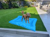 Bol.com PetsHome Koel Kussen - Hond en Kat - L - 113 bij 85 cm - Blauw aanbieding