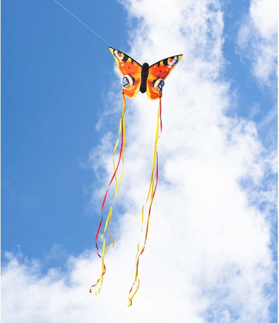 Cerf volant papillon - Nature & Découvertes