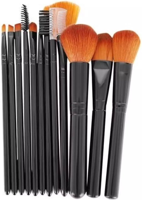 Set de 12 Pinceaux de maquillage professionnels - Set de pinceaux avec étui de rangement - Zwart