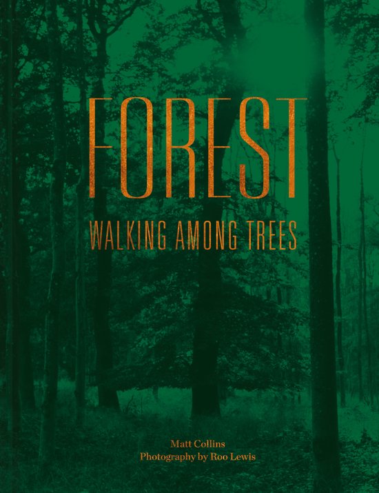 Forest - cover