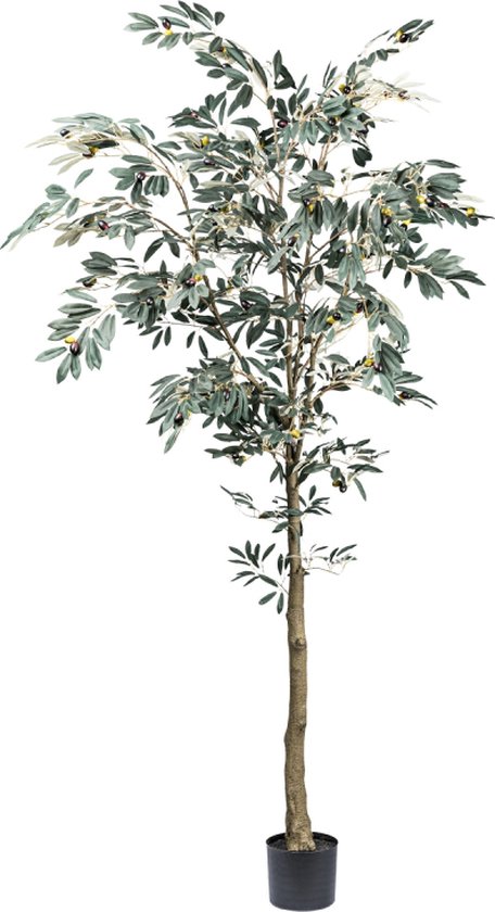 Bestsellers: De beste items in Kunstplanten op basis van