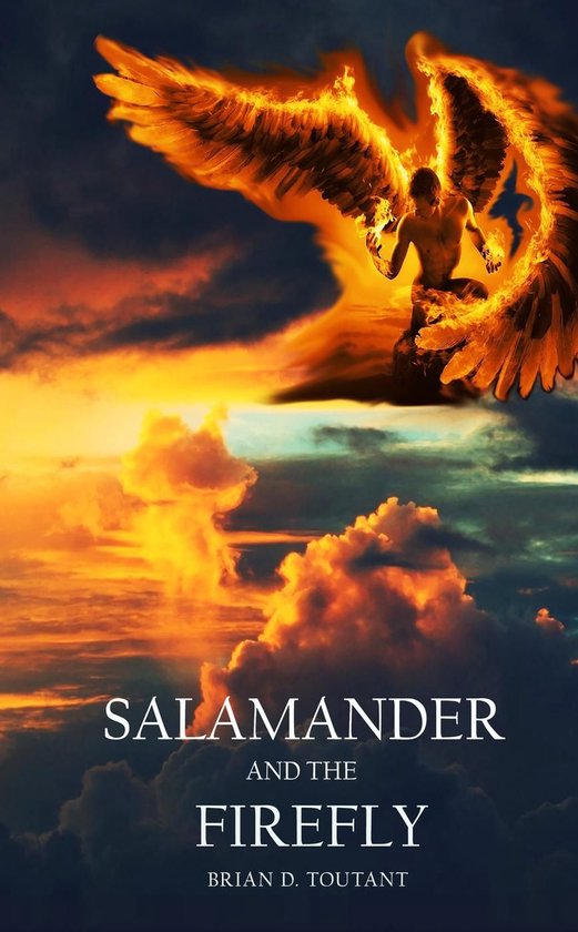 Salamander and the Firefly - cover