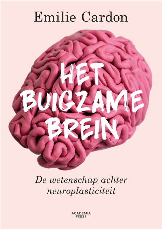 Foto: Het buigzame brein