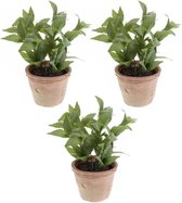 3x Kunstplanten munt kruiden groen in pot 25 cm - Kruidenplanten in pot 3 stuks