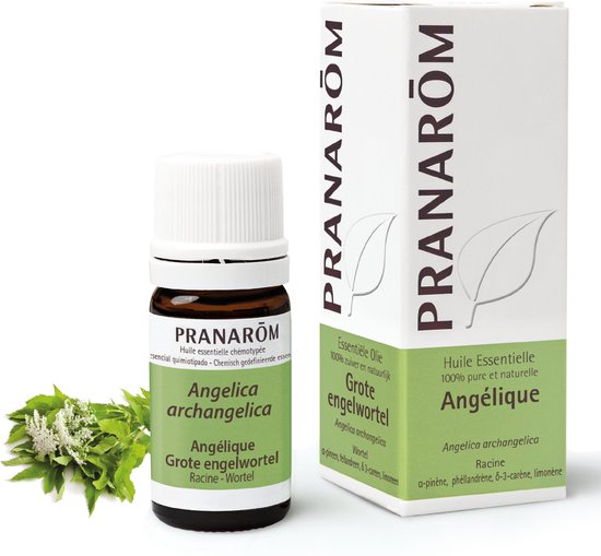 Pranarôm Etherische Olie Grote engelwortel 5 olie