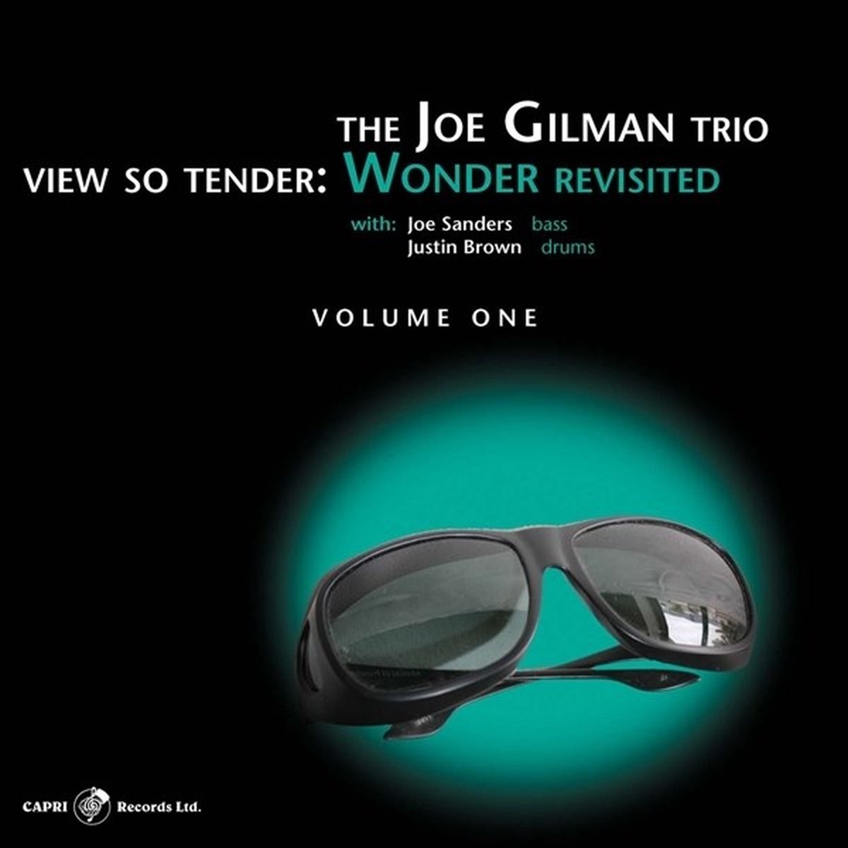 Joe Gilman - View So Tender: Wonder Revisted Vol.1 (CD)