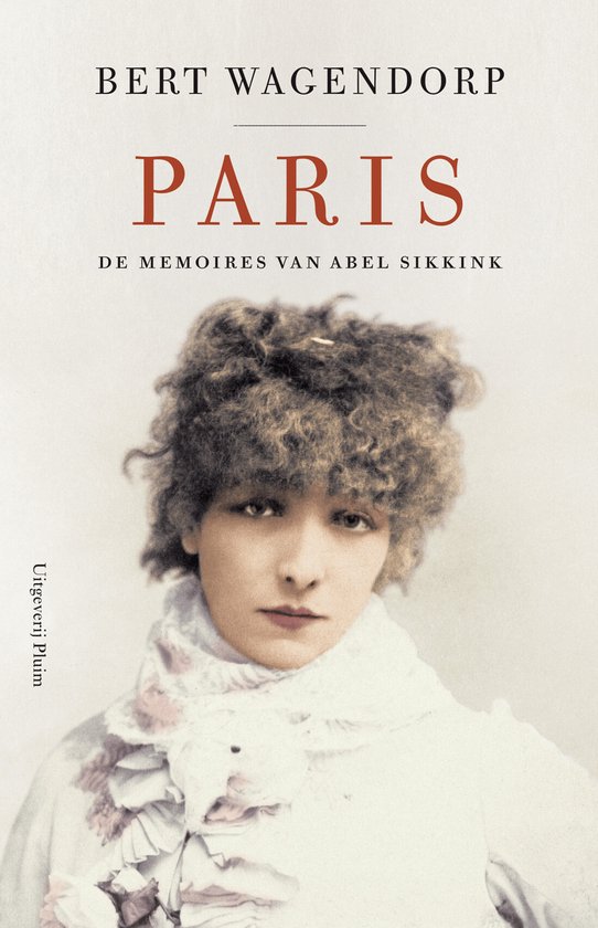 De memoires van Abel Sikkink - Paris - cover